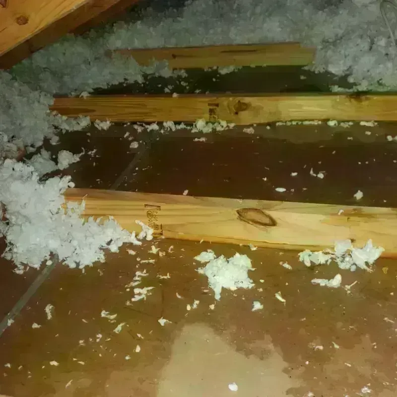 Attic Water Damage in Newcomerstown, OH